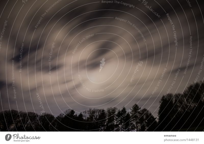 Nachthimmel Natur Landschaft Luft Himmel Wolken Mond Baum Wald dunkel weich schwarz träumen Traurigkeit Bewegung Einsamkeit Endzeitstimmung ziehen