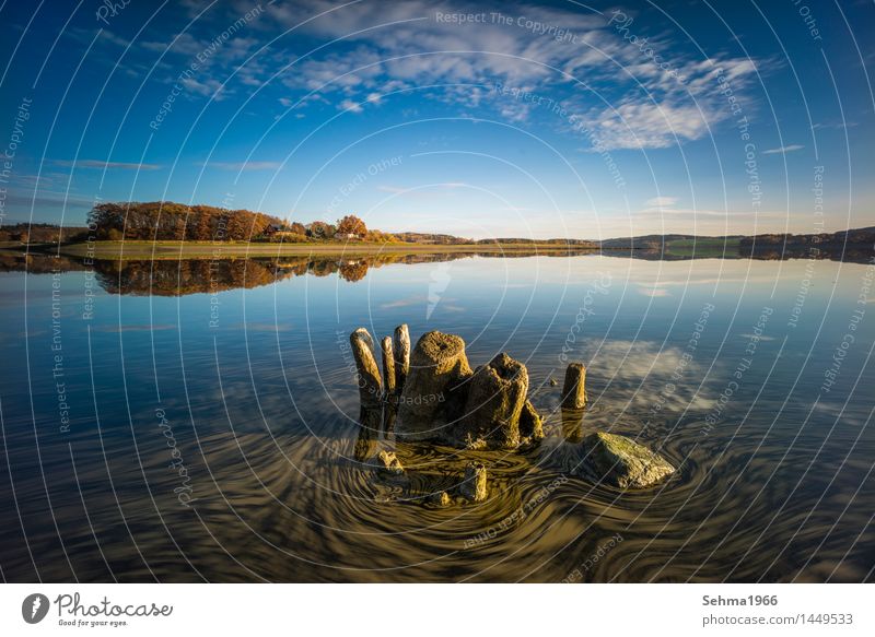 Herbstfarben und treibende Blätter am See Natur Landschaft Pflanze Wolken Sonne Sonnenlicht schlechtes Wetter Baum Gras Moos Seeufer Strand Teich Warmherzigkeit