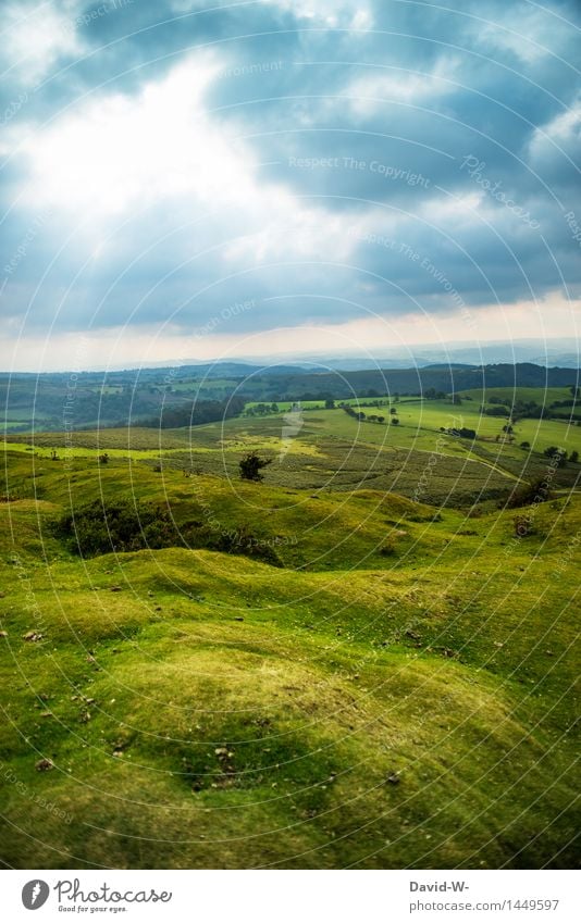 grüne Wiesen ruhig Ferien & Urlaub & Reisen Ausflug Abenteuer Ferne Sommerurlaub wandern Umwelt Natur Landschaft Himmel Wolken Gewitterwolken Herbst Wetter