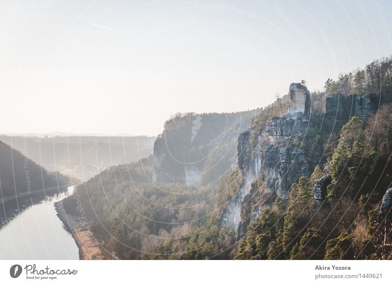 Im Dunst des Abends Natur Landschaft Wasser Himmel Frühling Schönes Wetter Nebel Baum Felsen Berge u. Gebirge Fluss Elbe Elbsandsteingebirge Sandstein