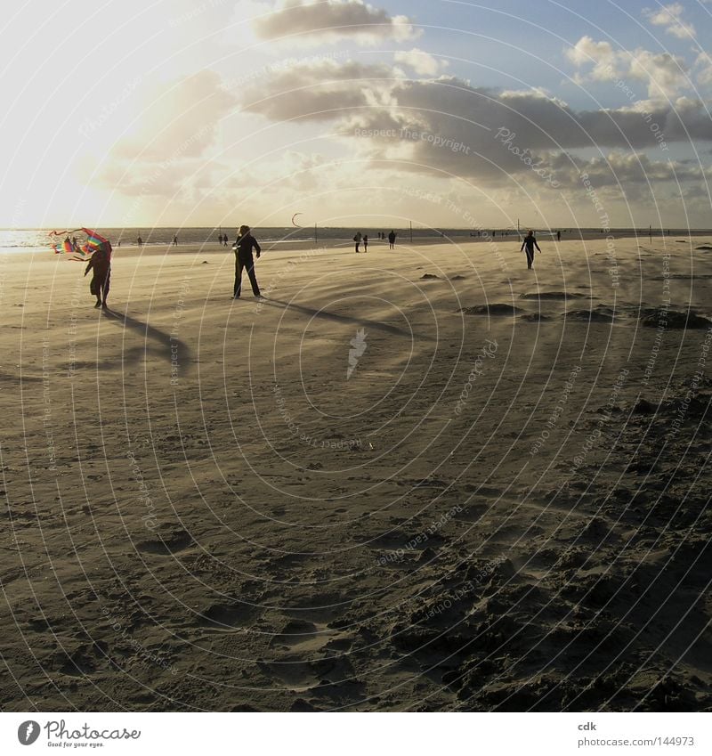 Abendstimmung an der Nordsee | im Sonnenuntergang Schatten werfen. Strand Strandleben Meer Ferien & Urlaub & Reisen Silhouette Abenddämmerung Licht Luft