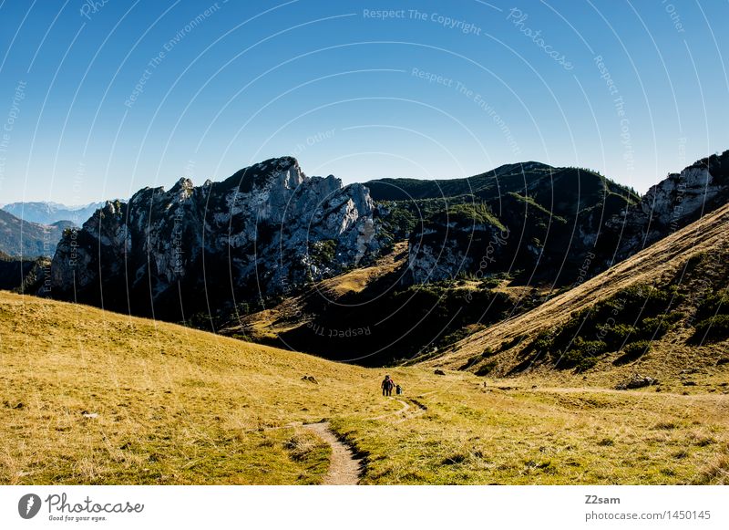 Up and down Freizeit & Hobby wandern Mensch Natur Landschaft Himmel Sonne Herbst Schönes Wetter Wiese Felsen Alpen Berge u. Gebirge Gipfel Erholung gehen frisch