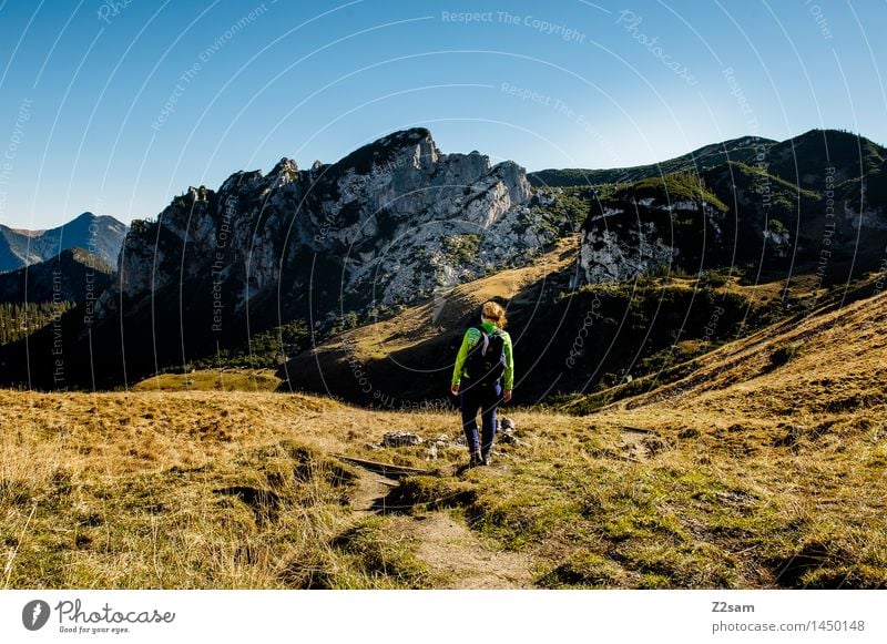 Talwärts Lifestyle elegant Stil Freizeit & Hobby wandern Junge Frau Jugendliche 18-30 Jahre Erwachsene Natur Landschaft Himmel Sonnenlicht Herbst Schönes Wetter