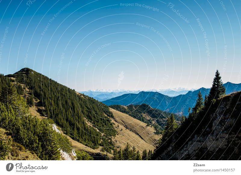 Rotwand Freizeit & Hobby wandern Natur Himmel Herbst Schönes Wetter Baum Wald Alpen Berge u. Gebirge Gipfel gigantisch nachhaltig natürlich blau Erholung Idylle