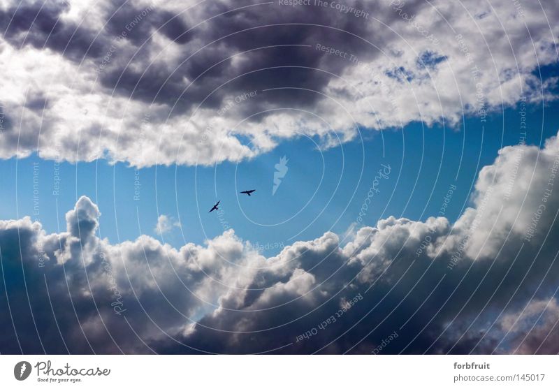 Heilige Schneise! Himmel Wolken Wolkendecke Durchblick Licht Sonnenstrahlen Lichterscheinung Beleuchtung Gewitterwolken Loch Streifen Beginn Wetter Stimmung