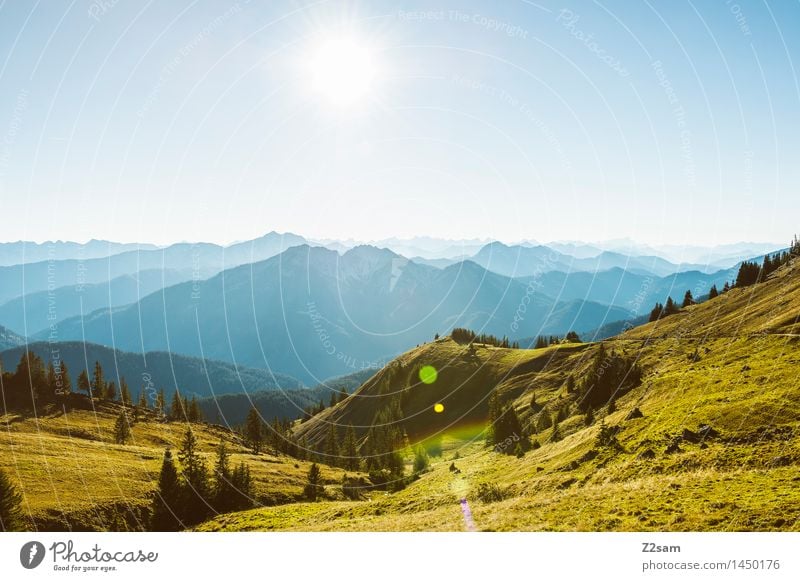 Aplenschick Freizeit & Hobby wandern Sonne Herbst Schönes Wetter Baum Gras Hügel Alpen frei frisch Unendlichkeit Lebensfreude demütig Abenteuer Erholung