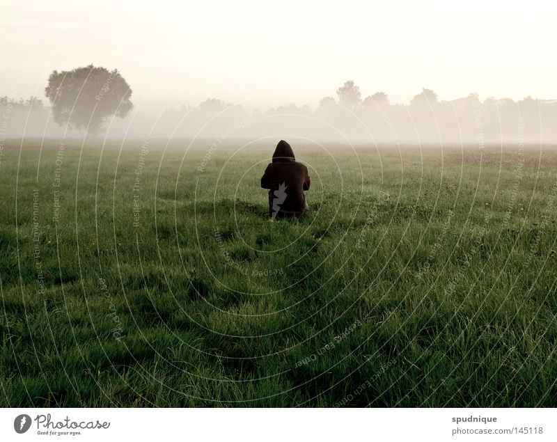 auf niemanden warten Wald Wiese Gras Halm Waldlichtung Baum Feld Ferne Morgen Morgennebel Nebel Nebelfeld kalt nass Sommer Sommermorgen hocken frieren