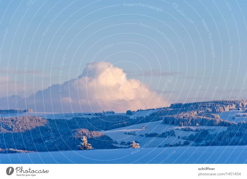 Sahnehaufen Umwelt Natur Landschaft Wolken Winter Klima Schönes Wetter Eis Frost Schnee Pflanze Baum Wald Hügel Berge u. Gebirge kalt Wolkenformation Wolkenbild