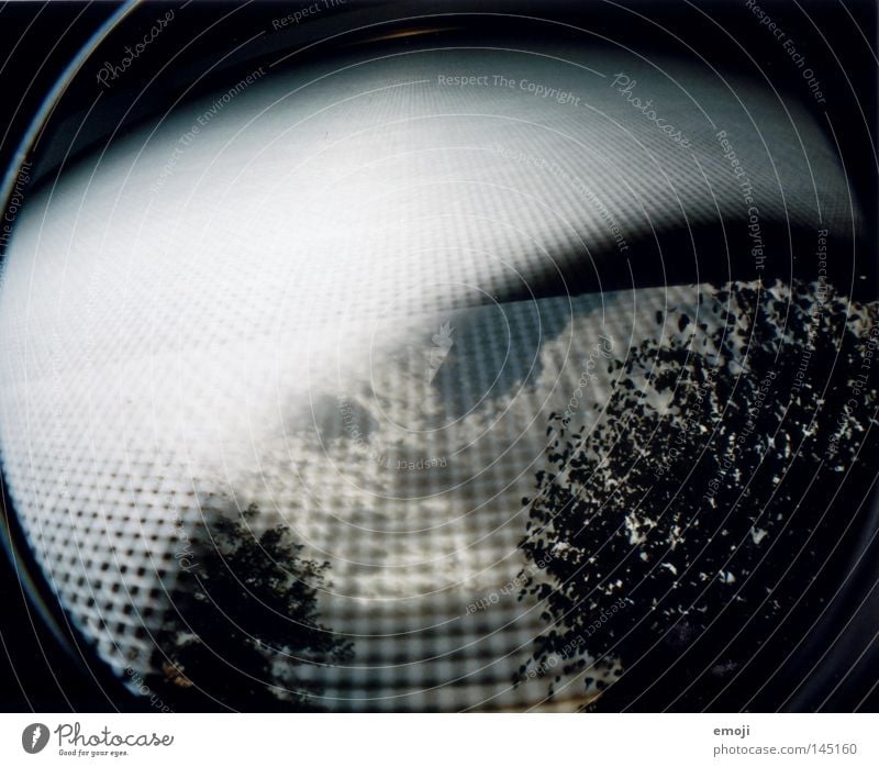 fascination analog Fischauge Fenster Baum Sträucher Wolken Himmel Gitter Insektenschutz seltsam Unfall Lomografie Scan trees clouds sky Netz Verzerrung strange