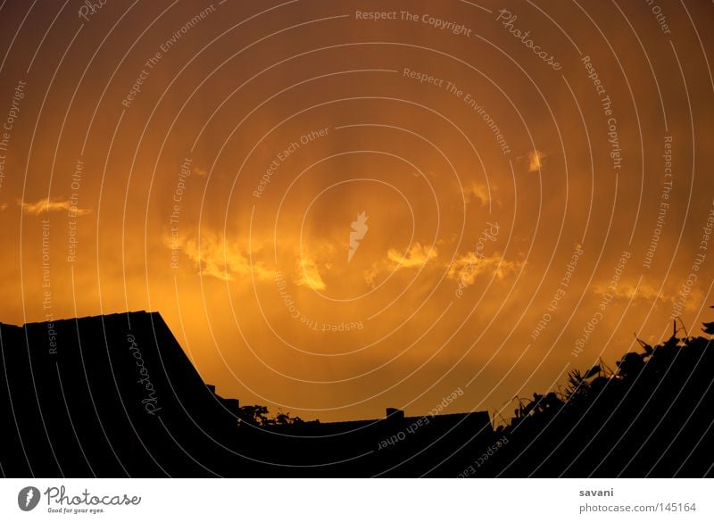 orangener Himmel Sonne Wolken Wetter Baum Dach dunkel gelb Kraft undefined glühen Beleuchtung Baumkrone Farbfoto Außenaufnahme Menschenleer Textfreiraum oben