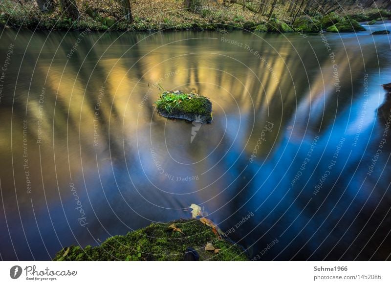 Sonnenfarben im Fluss bei langer Belichtung Umwelt Natur Landschaft Pflanze Erde Sand Wasser Himmel Wolkenloser Himmel Sonnenlicht Herbst Schönes Wetter Baum