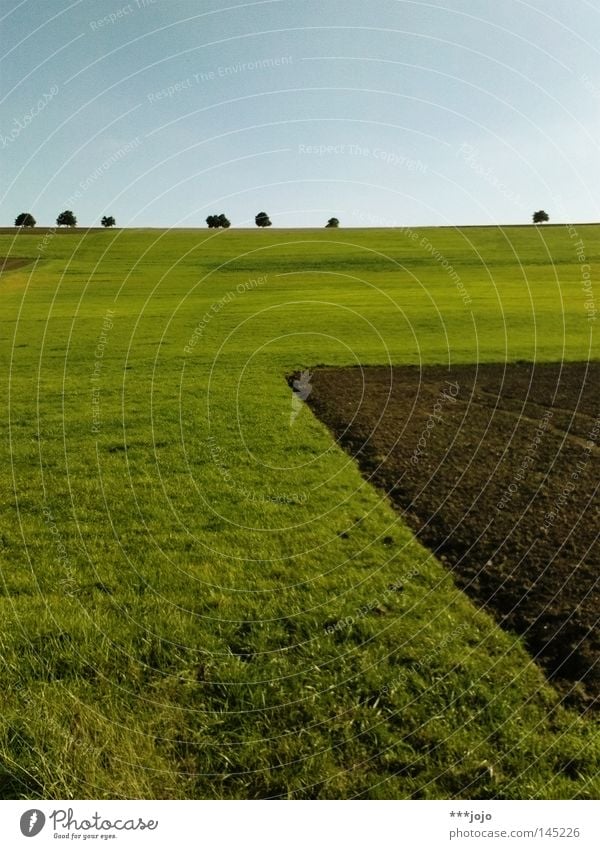 ruralgeometrie III. Feld Furche Allee Baum abstrakt Pampa Erde Schlamm braun gepflügt Herbst Wiese Landwirtschaft Geometrie Natur ländlich Amerika Brachland