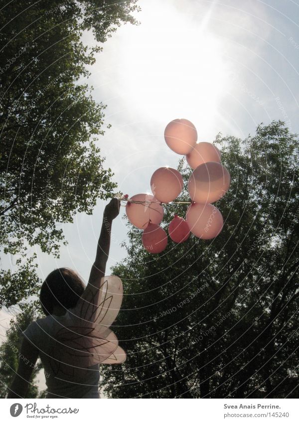 wir werden helden sein, wenn das so weiter geht Frau Mädchen Kleid weiß rosa Flügel Luftballon Baum Sonne Einsamkeit Arme hoch schön süß festhalten fliegen Fee