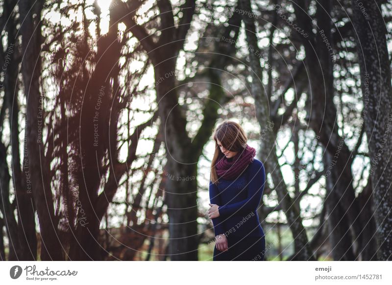 draussen feminin Junge Frau Jugendliche 1 Mensch 18-30 Jahre Erwachsene Herbst Wald dunkel kalt Farbfoto Außenaufnahme Tag Schwache Tiefenschärfe Oberkörper