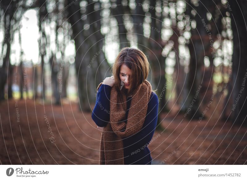 fall feminin Junge Frau Jugendliche 1 Mensch 18-30 Jahre Erwachsene Herbst Wald dunkel kalt kuschlig braun Farbfoto Außenaufnahme Tag Schwache Tiefenschärfe