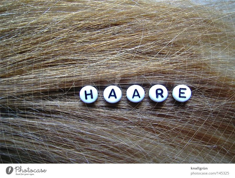 HAARE Wort Buchstaben rund schwarz weiß braun schimmern Haare & Frisuren Reflexion & Spiegelung obskur Schriftzeichen Perle Dunkelblond Letter