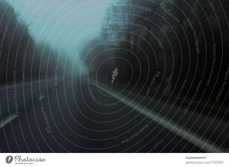 farewell, northbound Straße Verkehrswege Asphalt Wald Baum dunkel Dämmerung Nebel fahren unterwegs Abschied Horizont leer frei Einsamkeit ruhig unheimlich kalt