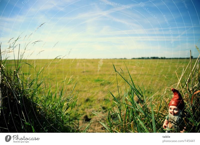 Horst Zwerg Gartenzwerge Hausmeister Spießer Gastronomie Klischee Wiese Himmel Wolken Sommer Gras Heu grün blau weiß Gefühle Deutschland Laubenkolonie