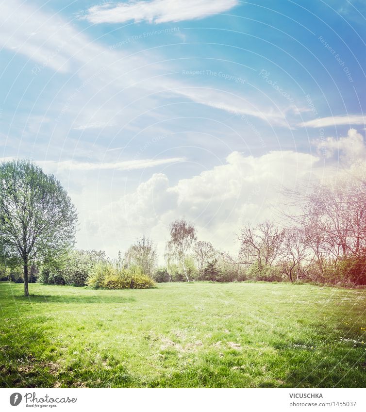 Frühling Natur Hintergrund mit Rasen und blühenden Bäumen Design Sommer Garten Pflanze Sonnenlicht Schönes Wetter Park Blühend Duft Stil Hintergrundbild