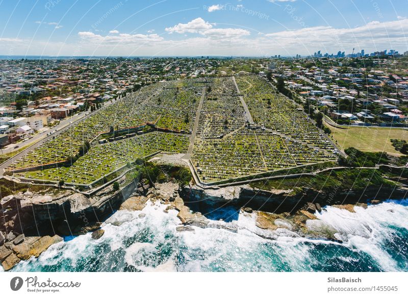 Friedhof in Sydney Ferien & Urlaub & Reisen Tourismus Ausflug Abenteuer Sightseeing Städtereise Sommerurlaub Meer Insel Wellen Natur Landschaft Küste Stadt