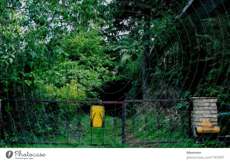 Das letzte Haus in der Strasse Einfamilienhaus Gebäude Wand Tor Eisen Rost Briefkasten Garten Gras Baum Sträucher grün dunkel geheimnisvoll Natur Schatten