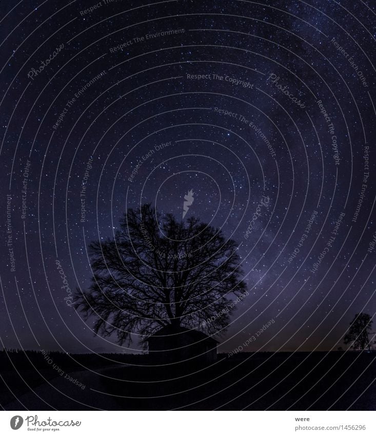 Nachthimmel Natur Pflanze Himmel Wolkenloser Himmel Stern Horizont Baum Hütte Observatorium gigantisch Unendlichkeit Gefühle Stimmung Freude Glück Zufriedenheit