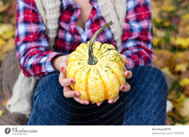 Herbstzeit feminin Frau Erwachsene Hand Finger 1 Mensch Umwelt Natur blau mehrfarbig gelb grün rot weiß Kürbis Weste herbstlich Blatt festhalten Farbfoto