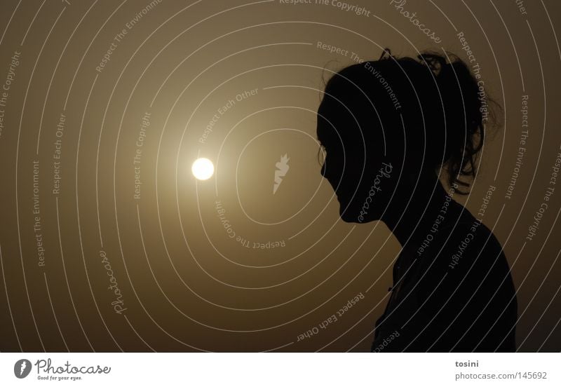 lichtblick Licht Sonne Denken ruhig Frieden Einsamkeit Abend Silhouette Mensch Frau dunkel Himmel Abenddämmerung Haare & Frisuren Sonnenuntergang Sommer