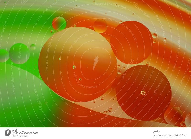 welteninsel Wasser Schwimmen & Baden Flüssigkeit hell nass mehrfarbig grün orange rot Kreativität Galaxie Weltall Blase Farbfoto Studioaufnahme Nahaufnahme