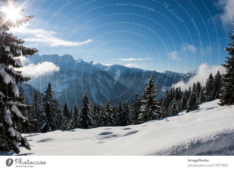 Winter Wonderland Tourismus Ausflug Abenteuer Schnee Winterurlaub Berge u. Gebirge wandern Natur Schönes Wetter Baum Wald Alpen Gipfel Schneebedeckte Gipfel