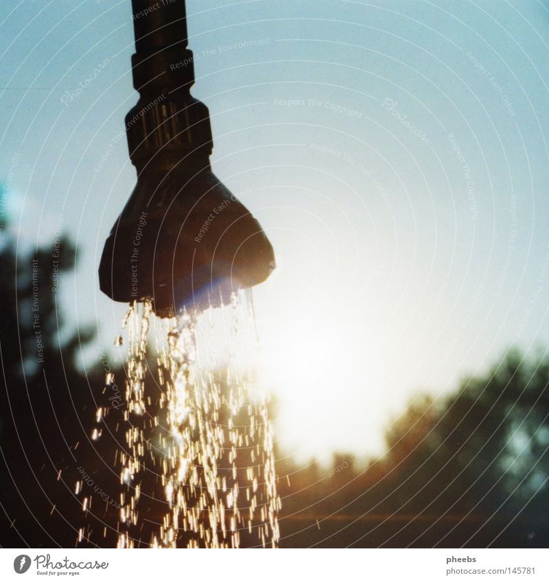 sommerdusche Licht Sommer Ferien & Urlaub & Reisen Schwimmbad Baum Süden weiß Sonne Wasser Kontrast hell