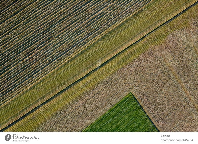 Feld Lebensmittel Arbeit & Erwerbstätigkeit Wirtschaft Landwirtschaft Forstwirtschaft Handel Natur Landschaft Gras Nutzpflanze Wiese Bach Linie drehen grün rot