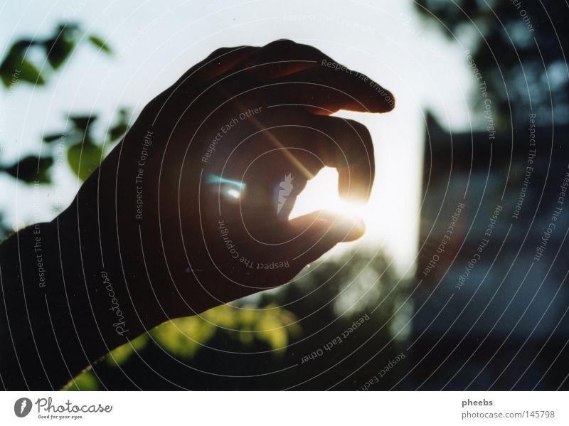 ich hab den sommer in der hand... Sommer Ferien & Urlaub & Reisen Licht Hand Physik weiß Sonne Beleuchtung hell Himmel Pflanze Wärme