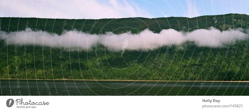 Grün-weiß See Wolken Streifen grün Vorhang Rauchzeichen Wald Baum Kanada British Columbia Wegrand Sommer außergewöhnlich interessant hängen festhängen Himmel