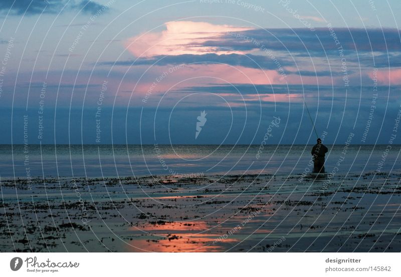 Börsenmaklerfeierabend Meer Ostsee See Wasser Wellen Bewegung Zeit ruhig Frieden Erholung Einsamkeit frei Freiheit Ferne Horizont horizontal blau Dämmerung