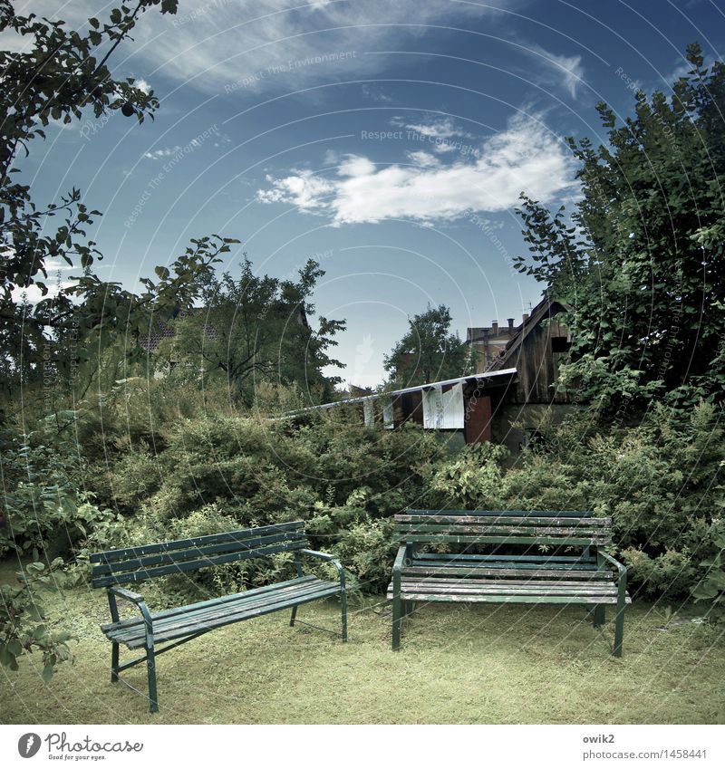 Bankensektor Umwelt Natur Pflanze Himmel Wolken Sommer Schönes Wetter Baum Gras Sträucher Garten Wiese Haus Lagerschuppen Mauer Wand Fassade Terrasse Holz