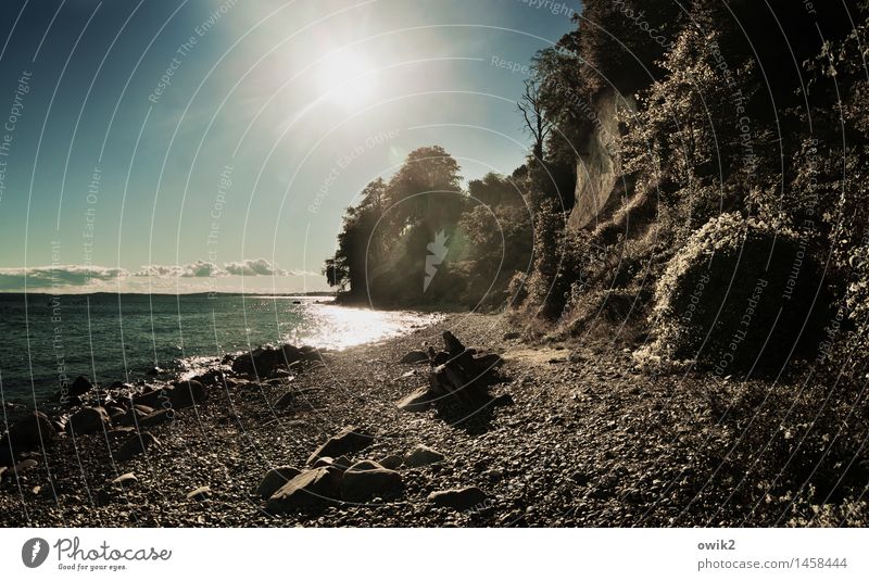 Flutlicht Umwelt Natur Landschaft Pflanze Wasser Himmel Wolken Horizont Klima Schönes Wetter Baum Sträucher Küste Ostsee Klippe leuchten gigantisch glänzend