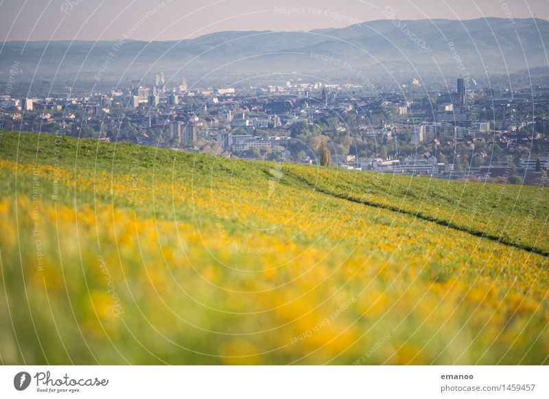 Spring in the City Ferien & Urlaub & Reisen Tourismus Freiheit Städtereise Berge u. Gebirge wandern Natur Landschaft Frühling Wetter Schönes Wetter Blume Gras