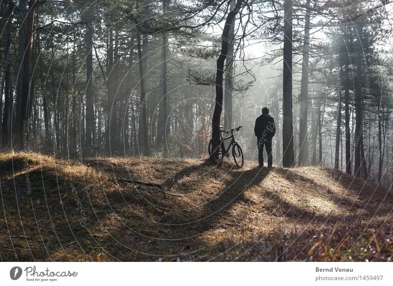 kurze unterbrechung Mensch maskulin Mann Erwachsene 1 45-60 Jahre Blick Erholung stehen Pause Waldboden Gras Mountainbike Sehnsucht genießen einzeln Schatten