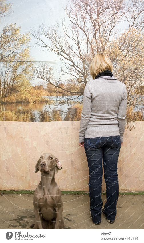 Ansichtssache Hund Blick Museum Ausstellung Publikum Fotografie Gemälde Poster Bild Perspektive Dinge Welpe Weimaraner Wachsamkeit entdecken Frau Jeanshose