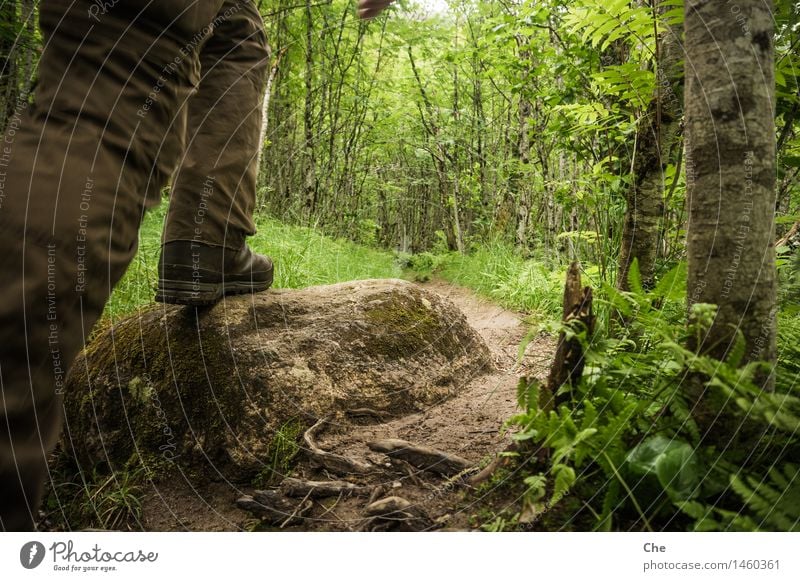 Per Fußbus unterwegs Urelemente Wald Urwald gehen wandern Abenteuer Wanderschuhe Über Stock und Stein Querfeldein Baum grün geschlossen Unterholz fixieren Ziel