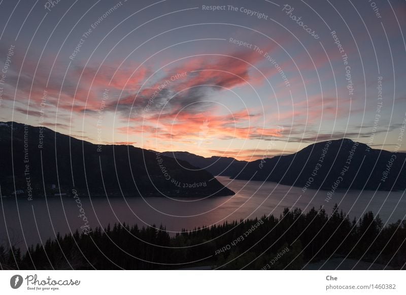 Abschiedsstimmung Natur Wasser Himmel Wolken Sommer Schönes Wetter Berge u. Gebirge Küste Fjord Abenteuer Glück Idylle Lebensfreude Leichtigkeit Stimmung