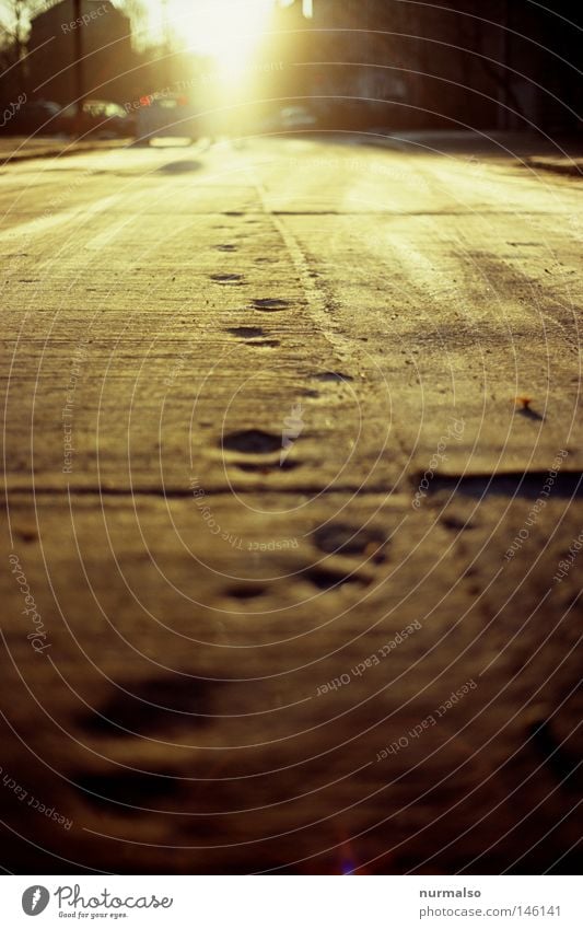 Montag Morgen Gold Sonne Licht Straße Fußspur Beton Fuge DDR Autobahn Boden unten Gegenlicht analog Dia vererben Spuren Erinnerung Baustelle Sonnenstrahlen