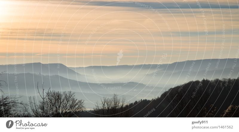 Morgennebel Natur Landschaft Sonnenaufgang Sonnenuntergang Sonnenlicht Winter Schönes Wetter Nebel Hügel kalt trist blau gelb orange schwarz weiß ruhig