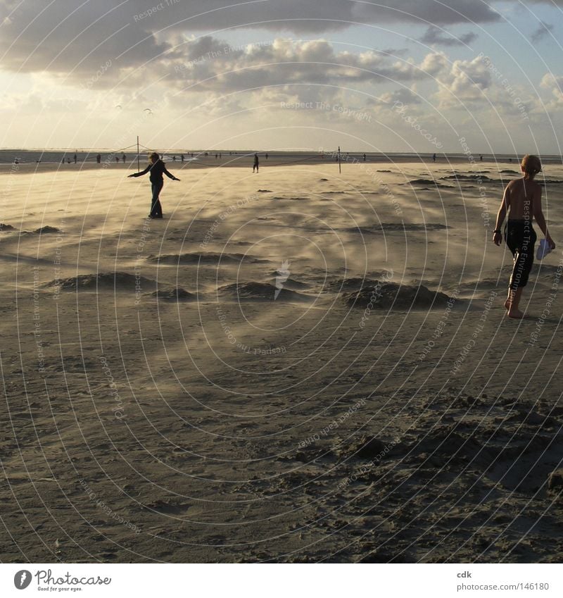 Abendstimmung an der Nordsee | Strandläufer | Abschied vom Sommer. Strandleben Meer Ferien & Urlaub & Reisen Wolken Silhouette Abenddämmerung Abendsonne Licht