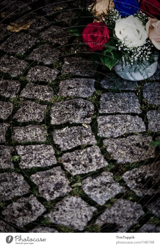 Ruhe sanft † Beerdigung Trauerfeier verlieren Friedhof Blume Kranz Blumenstrauß Todesangst Grab Grabstein Verzweiflung Vergänglichkeit Kopfsteinpflaster gebinde