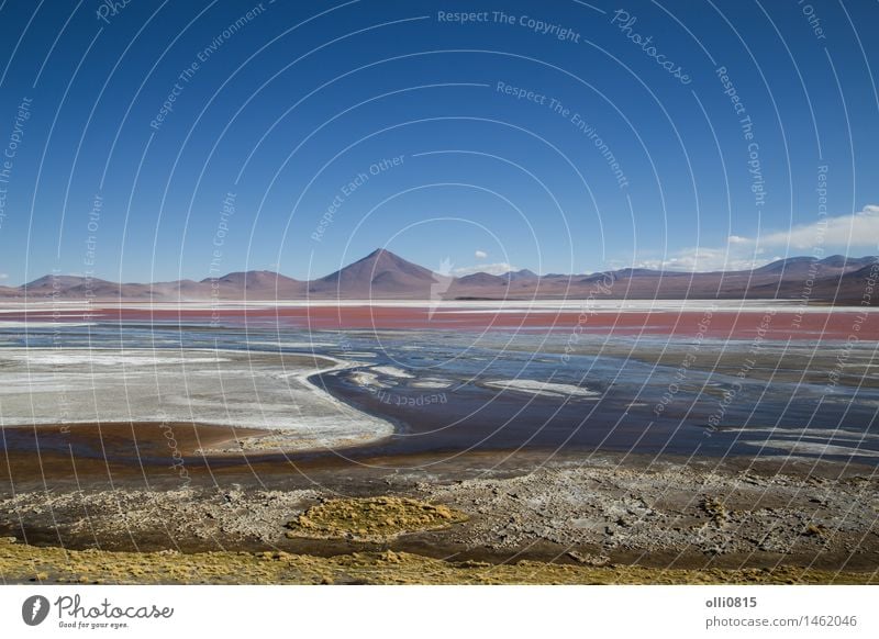 Laguna Colorada in Bolivien Ferien & Urlaub & Reisen Tourismus Berge u. Gebirge Natur Landschaft Wasser Himmel Vulkan Seeufer Vogel Flamingo rot Reserve wüst