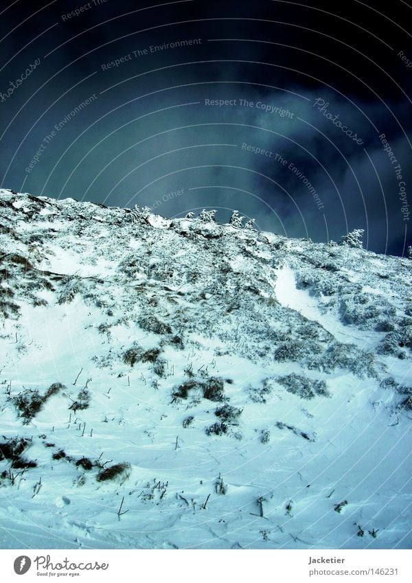 Apokalypse. Baum weiß grau Frankreich Auvergne Puy-de-dôme Berge u. Gebirge wolkenspiel Schnee Himmel blau clermont-ferrand langer weg anstrengen