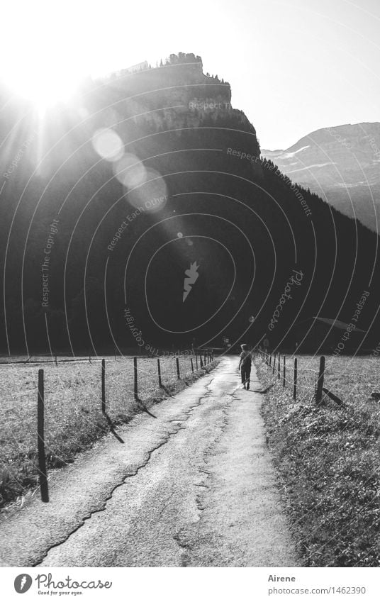 ich lass mich nicht aufhalten Ferien & Urlaub & Reisen Ausflug Freiheit Berge u. Gebirge wandern Mensch feminin Erwachsene 1 Landschaft Schönes Wetter Alpen