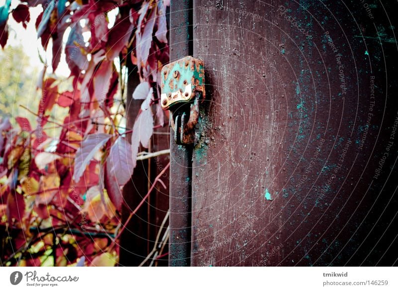 altes Vorhängeschloss Rost Schachtel Herbst Augenfalter Rust knackig Kasten gesperrt rot braun Blatt